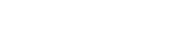 Theveloper logo